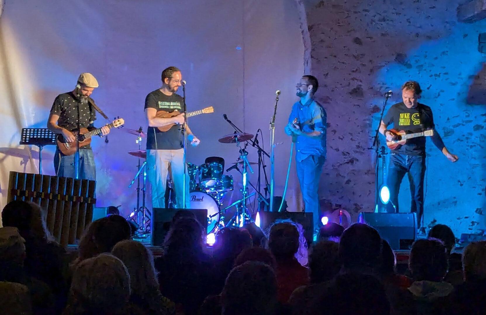 Le groupe NUKE au Maine Uke Festival 2025 à Saint-Denis-d'Anjou (53)